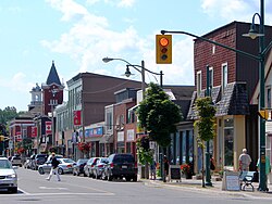 Lakefield urban area in Selwyn Township