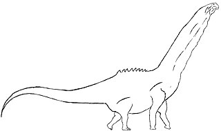 A Drawing of Bruhathkayosaurus Matleyi