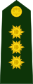 Brigadier general (Colombian National Army)[20]