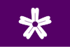 Flag of Iwaki
