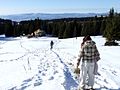 Kopaonik ski resort walk paths