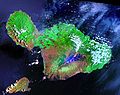 Satellite view of Maui