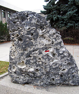 Cairn Formation stromatoporoid reef displayed in Calgary.