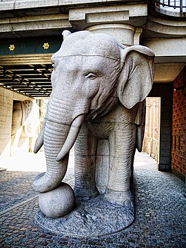 One of the elephants