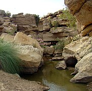 Cold water spring in the Kirthar National Park
