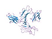 1py4: Beta2 microglobulin mutant H31Y displays hints for amyloid formations