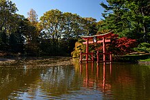 The torii in the Japanese Hill-and-Pond Garden, Brooklyn Botanic Garden