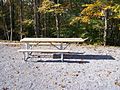 A campground picnic table made accessible to wheelchairs and walkers with its extended top.