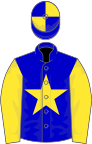 Blue, yellow star and sleeves, quartered cap