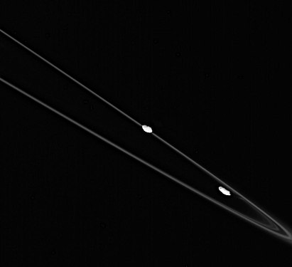 Prometheus (at right) and Pandora orbit just inside and outside the F Ring, but only Prometheus acts as a ring shepherd.