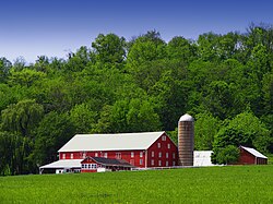 An Adams Township farm