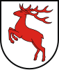 Brodnica County