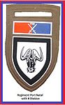 SADF 8 South African Armoured Division Regiment Port Natal Flash