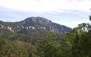 The Cerro Mohinora