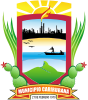 Official seal of Punto Fijo