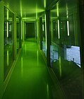 The green hallway