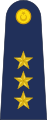 Yüzbaşı Turkish Air Force