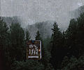 Evenings at Woods, 1999