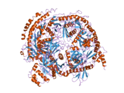 2nn6: Structure of the human RNA exosome composed of Rrp41, Rrp45, Rrp46, Rrp43, Mtr3, Rrp42, Csl4, Rrp4, and Rrp40