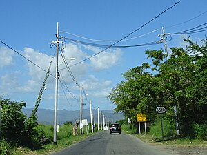 Puerto Rico Highway 5510 north in Barrio Capitanejo