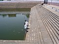 Temple pond on way to Thiruvalllur, Tamil Nadu
