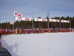 Kortvasan starting in Oxberg. February 2006.