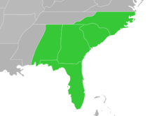 Symphyotrichum georgianum native distribution: US (Alabama, Florida, Georgia, North Carolina, and South Carolina).