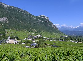 Chignin and vineyards