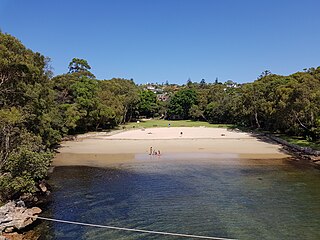 Beachgoers play at the land-water interface in Parsley Bay, Sydney Harbour, Australia.