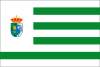 Flag of El Coronil, Spain