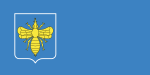 Flag of Klimavichy