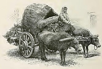 Ox-drawn cart in Georgia, circa 1883