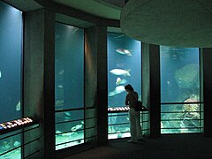 National Aquarium, Baltimore, USA