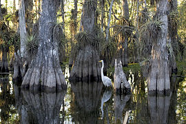 Everglades National Park in South Florida