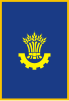 Flag of Karlivka Raion