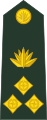 Brigadier general (Bengali: ব্রিগেডিয়ার জেনারেল, romanized: Brigēḍiẏāra jēnārēla) (Bangladesh Army)[10]