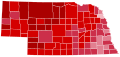 United States Presidential Election in Nebraska, 2000