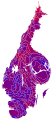 Cartogram of vote with each municipality rescaled in proportion to number of valid votes cast. Deeper blue represents a relative majority for the centre-right coalition, brighter red represents a relative majority for the left-wing coalition.