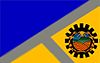 Flag of Bruzual Municipality