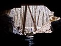 The Tunnel is an abandoned Railroad Tunnel that was never completed. It is closed to the public from Nov 1 – April 30 to protect hibernating bats from the White-Nosed Bat Syndrome.
