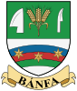 Coat of arms of Bánfa