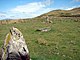 Standing Stones on Mynydd Craig-wen