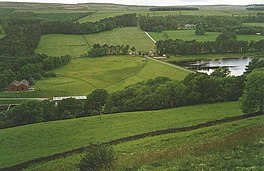 A small dam surrounded by fields and trees