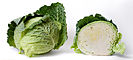 Cabbage and cross section