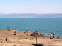 Dead Language Sea