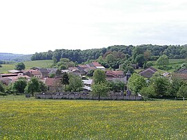 A general view of Mondigny