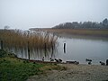 Brabrand Lake on a grey foggy day in December.
