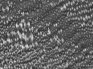 Complex phospholipid layer in liquid condensed phase in a Langmuir Trough, imaged by a Brewster angle microscope.
