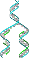 Image 5The replicator in virtually all known life is deoxyribonucleic acid. DNA is far more complex than the original replicator and its replication systems are highly elaborate. (from History of Earth)