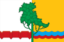 Flag of Omsky District